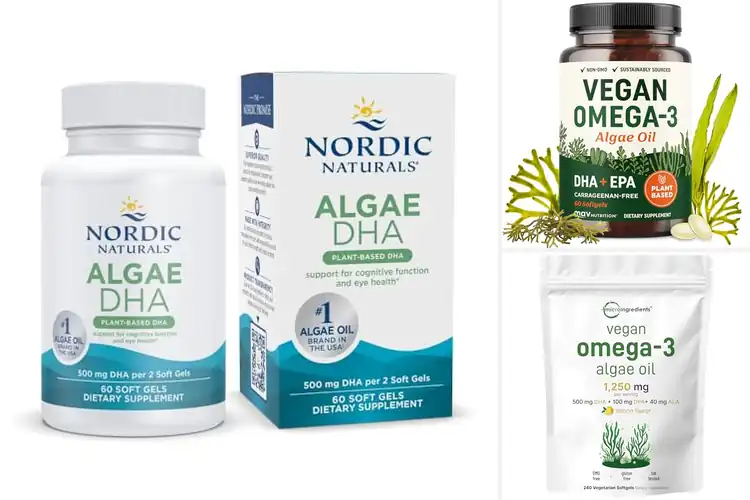 Detailed view of Best Algae DHA Supplements
