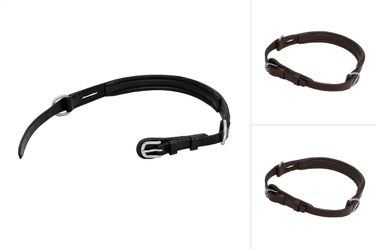Detailed view of Best Bitless Nosebands: Top 10 Picks for Smoother Rides