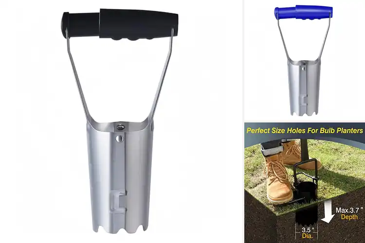 Detailed view of Best Bulb Planters