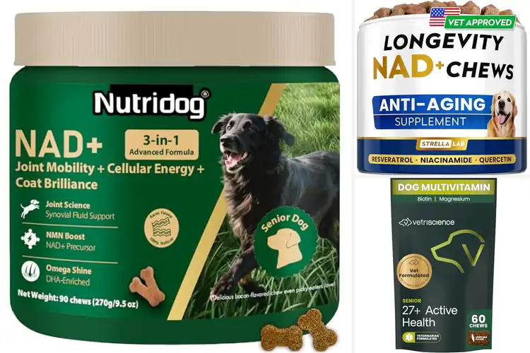 Detailed view of Best Cellular Energy Boosters for Senior Dogs