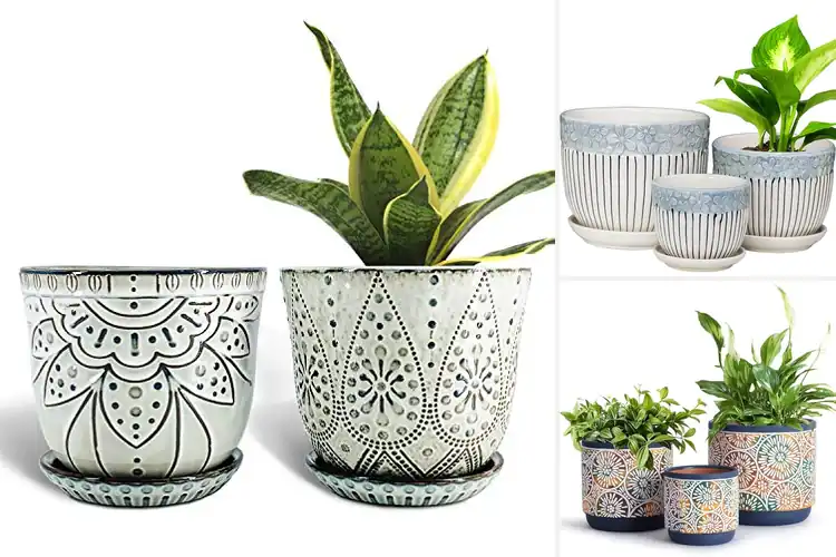 Detailed view of Best Ceramic Planters