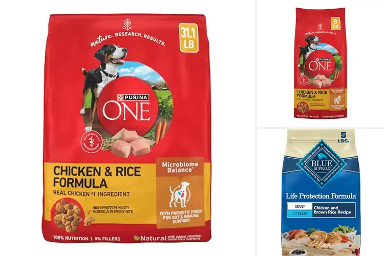 Detailed view of Best Chicken Dog Foods: Healthy, Tasty Picks for Your Pup