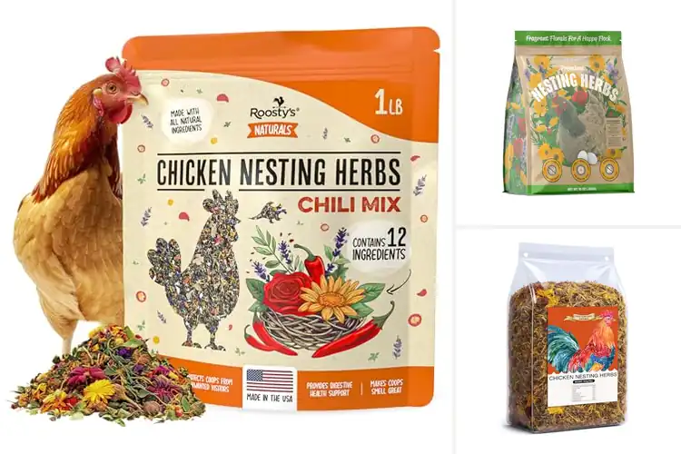 Detailed view of Best Chicken Nesting Herbs