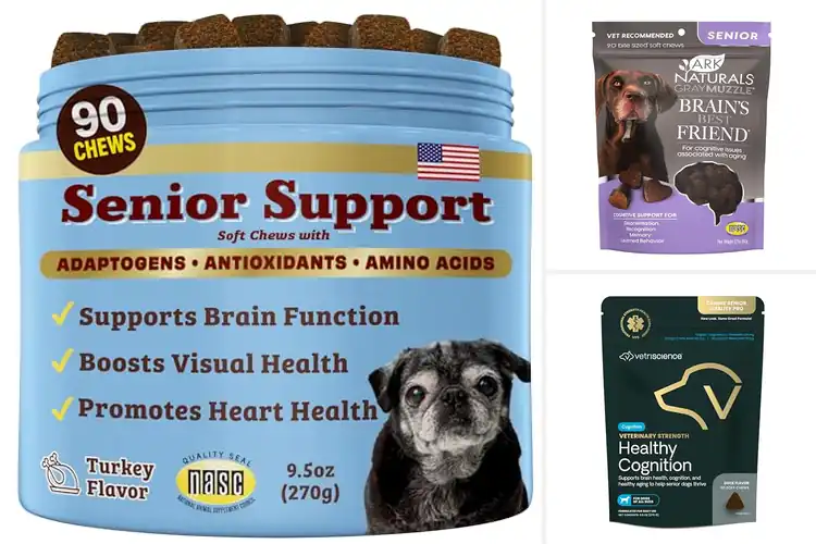 Detailed view of Best Cognitive Support Chews for Dogs