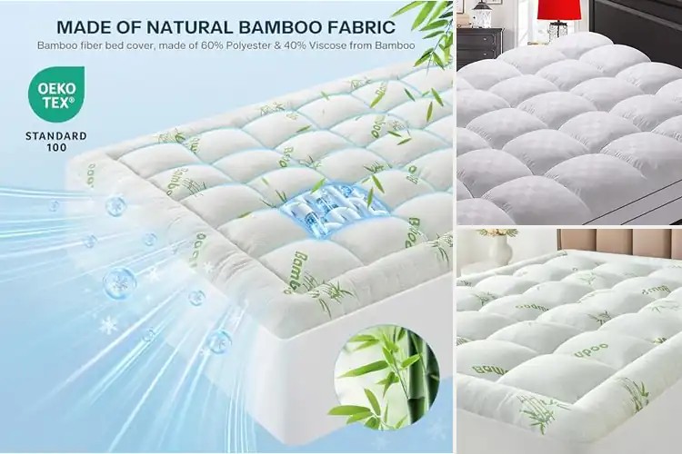 Detailed view of Best Cooling Back Protectors for Comfort & Safety
