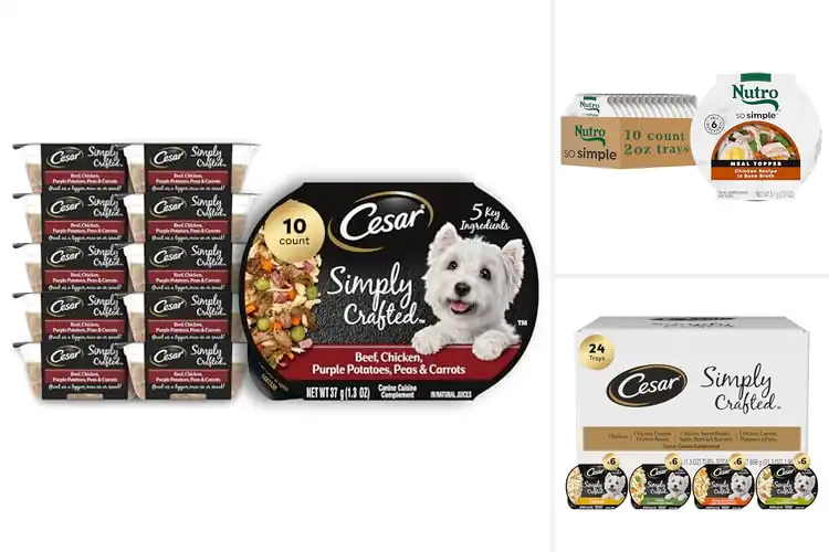 Detailed view of Best Dog Food Complements