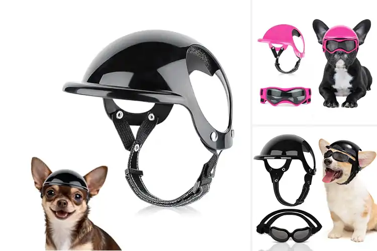 Detailed view of Best Dog Helmets For Small Dogs