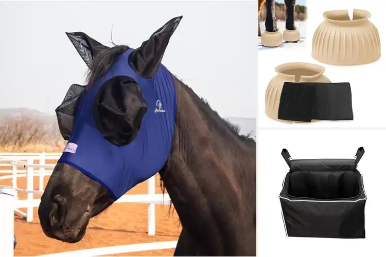 Detailed view of Best Easy Clean Horse Gear