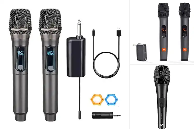 Detailed view of Best Handheld Microphones