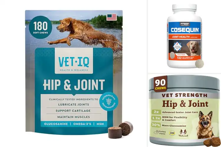 Detailed view of Best Joint Flexibility Supplements for Senior Dogs