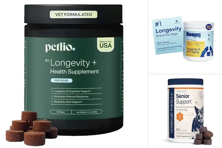 Detailed view of Best Longevity Supplements for Senior Dogs