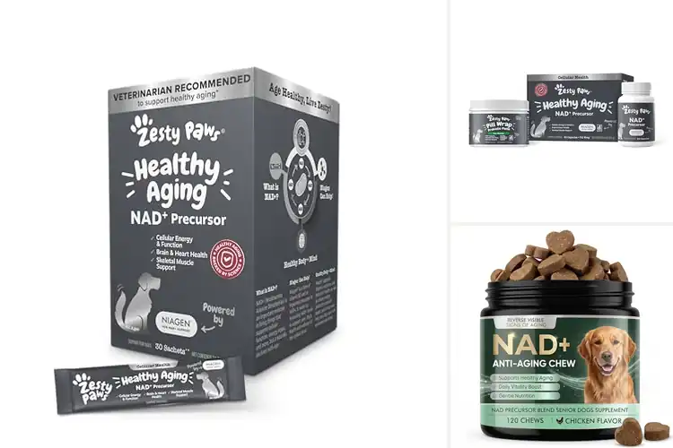 Detailed view of Best NAD+ Precursors for Dogs
