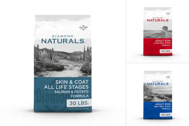 Detailed view of Best Natural Dog Foods: Top 10 Picks for Happy Healthy Pups
