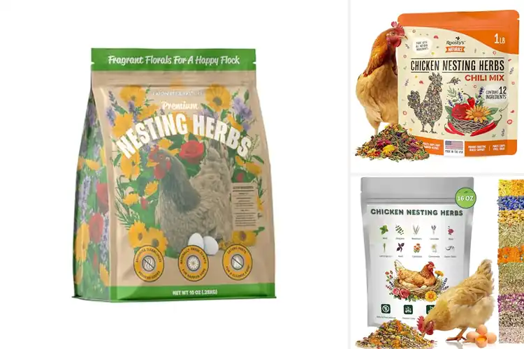Detailed view of Best Natural Nesting Blends