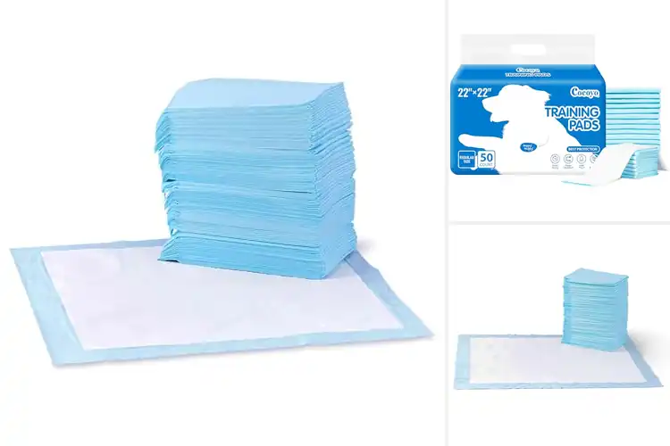 Detailed view of Best Pee Pads: Top 10 Picks for Stress-Free Training