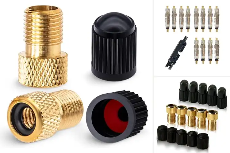Detailed view of Best Presta Schrader Valves