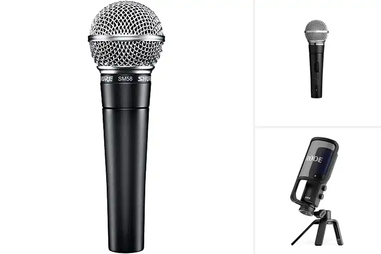 Detailed view of Best Professional Microphones