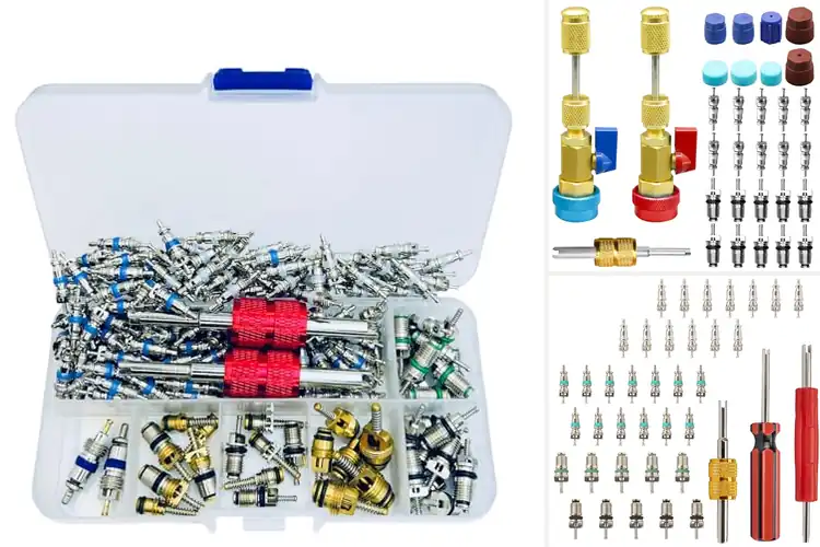 Detailed view of Best Schrader Valve Kits for Leak-Free Repairs
