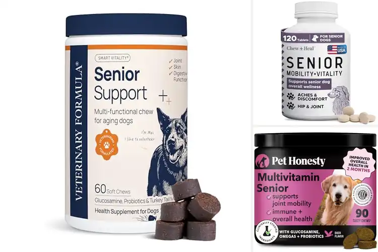 Detailed view of Best Senior Dog Vitality Supplements