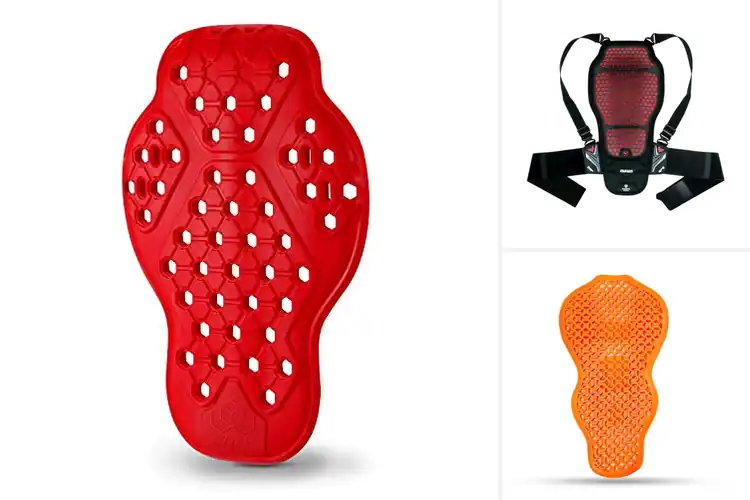 Detailed view of Best Universal Back Protectors: Top 10 for Safety & Comfort